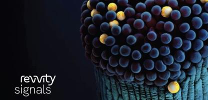 signals one hw-sw guide thumbnail - blueberries