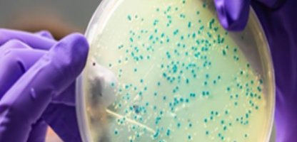 Signals Notebook for Molecular Biology